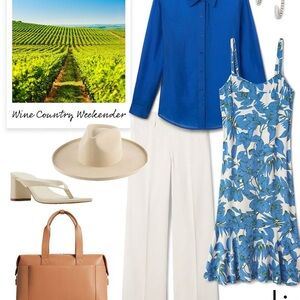 CAbi Blue and White Floral Dress Botanical Dress Spring 25